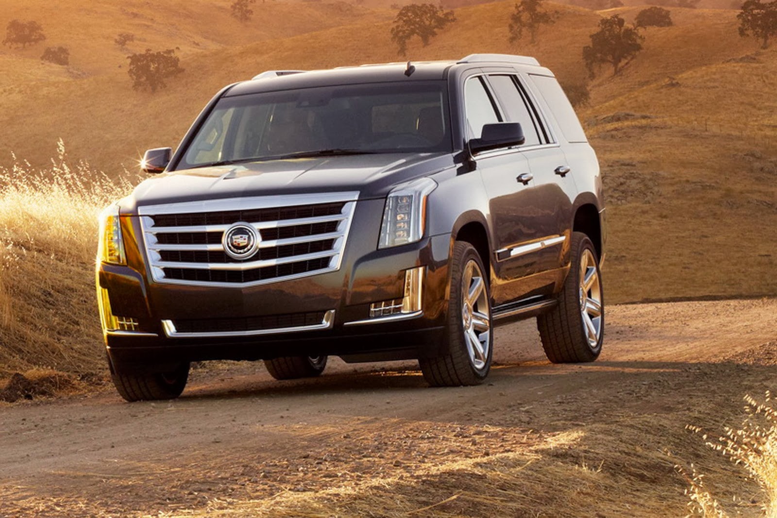 1cadillac-escalade_2015_3